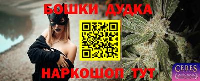 индика Заводоуковск