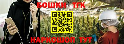 индика Заводоуковск