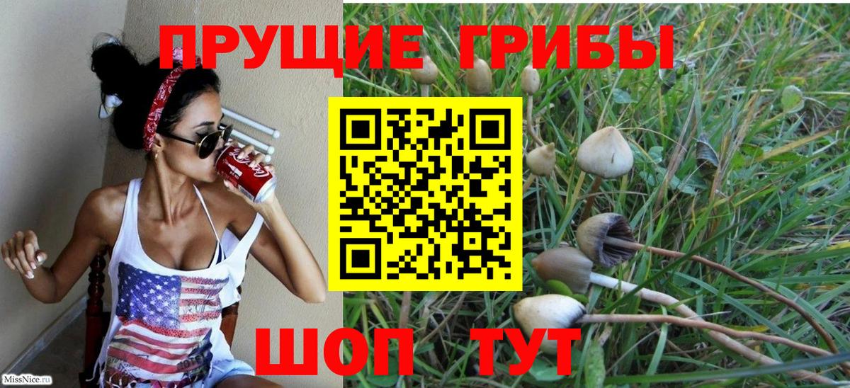 Псилоцибиновые грибы MAGIC MUSHROOMS  купить наркотик  Вход с VPN  Волжский  Галлюциногенные грибы мухоморы 